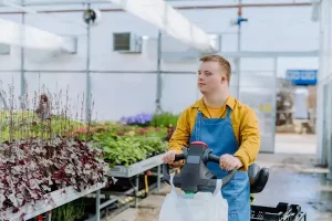 Understanding the Role of Key